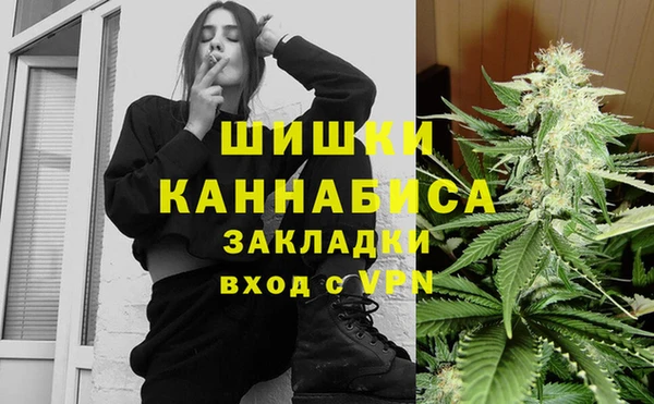 ПСИЛОЦИБИНОВЫЕ ГРИБЫ Алзамай