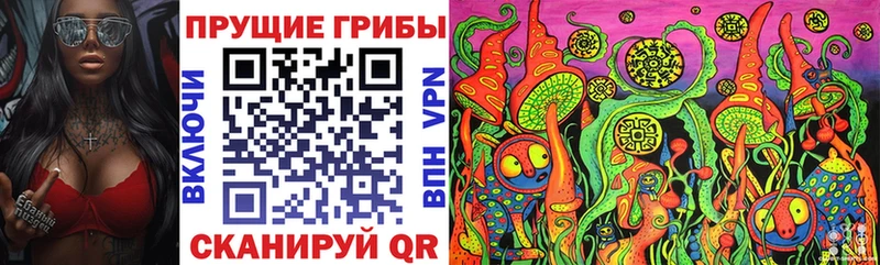 купить наркотики цена  Старый Оскол  Галлюциногенные грибы Magic Shrooms 