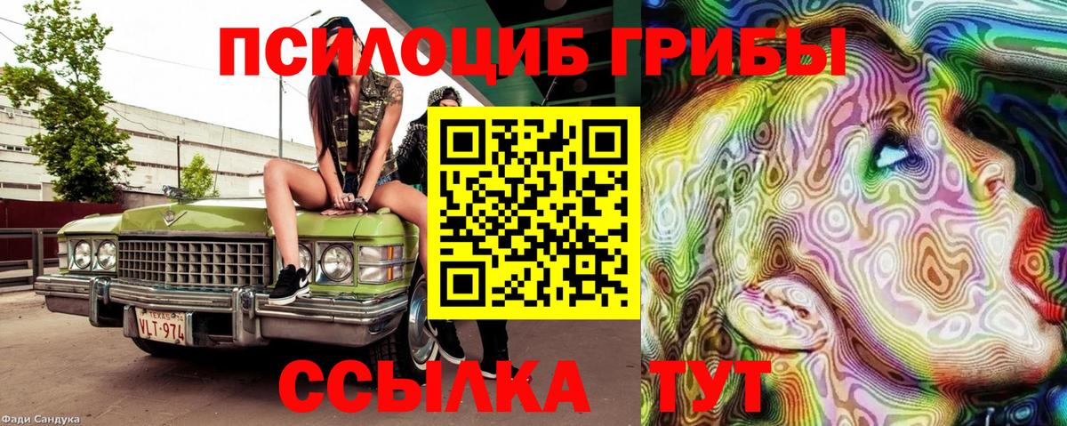 Псилоцибиновые грибы GOLDEN TEACHER  Галлюциногенные грибы GOLDEN TEACHER  Старый Оскол  Вход с VPN 